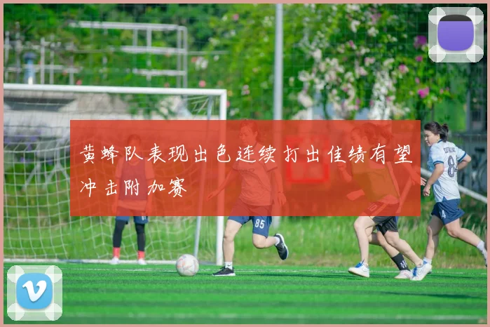 黄蜂队表现出色连续打出佳绩有望冲击附加赛