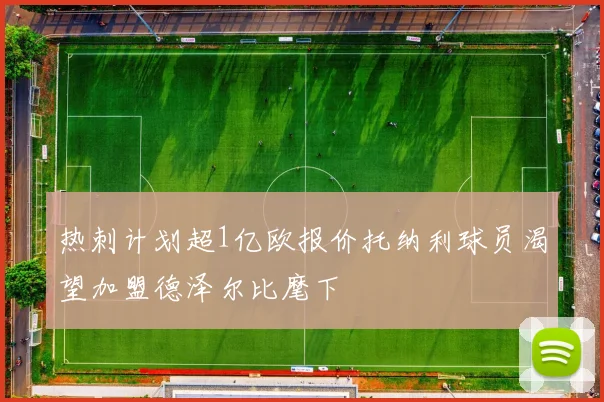 热刺计划超1亿欧报价托纳利球员渴望加盟德泽尔比麾下